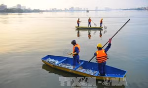 Hà Nội kiểm tra toàn diện các hồ nước trên địa bàn 