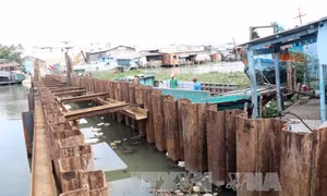 Không có chuyện Long An từ chối đắp đập ngăn mặn giúp Tiền Giang 