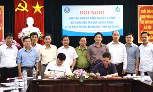 Hà Giang: Ký thỏa thuận hợp tác hỗ trợ phát triển lâm nghiệp và kinh tế - xã hội