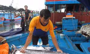 "Không thể chinh phục đại dương bằng thuyền thúng"