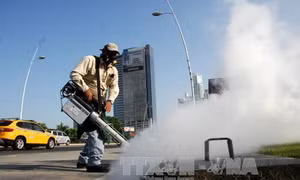 Nam Phi xác nhận ca nhiễm virus Zika đầu tiên