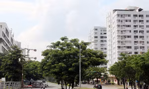Thông tin ban đầu về nguyên nhân gây mùi hôi thối ở Nam Sài Gòn
