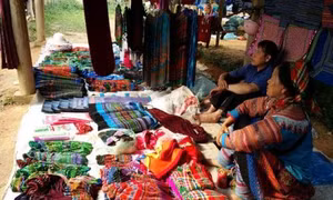 Nhiều hoạt động trong Hội Xuân Bính thân 2016