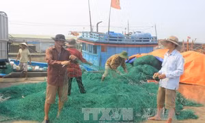 Giám sát về môi trường còn ít