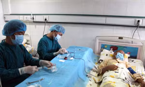 Ghép tế bào gốc, hồi sinh những cuộc đời