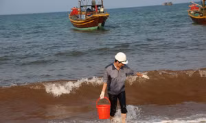 Nước biển Quảng Bình đổi màu bất thường
