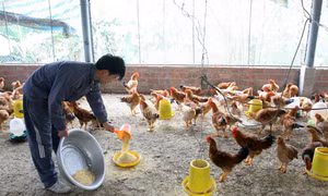 Để thanh niên tự tin khởi nghiệp