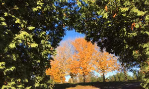 Ngắm vẻ lãng mạn tuyệt đẹp của mùa Thu Canada