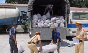 Bắt giữ 6 tấn tóp mỡ mốc xanh ở Thanh Hóa