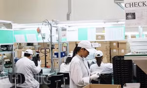 Séc xử lý mạnh lao động "chui"