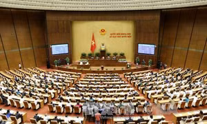 Miễn nhiệm Phó Chủ tịch nước, Chánh án TANDTC