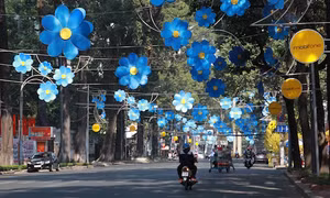 Tp. Hồ Chí Minh