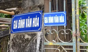 Chính phủ quy định về xét tặng danh hiệu 'Gia đình văn hóa', 'Khu dân cư văn hóa'