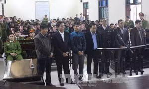 Nguyên Chủ tịch huyện Kỳ Anh, Hà Tĩnh lĩnh án 12 năm tù 