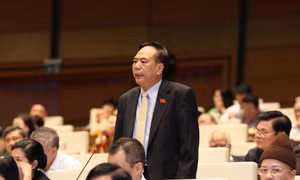 Phát huy hơn nữa vai trò của các ủy ban Quốc hội