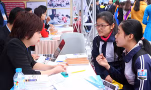 Nhiều trường lớn, nhiều cơ hội