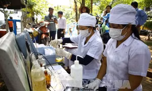 Thủ tướng yêu cầu sớm làm rõ nguyên nhân cá Hồ Tây chết