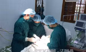 Cấp cứu thành công 2 bệnh nhân trên đảo Bạch Long Vĩ