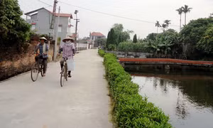 Xây dựng nông thôn mới ở Bắc Ninh “Đồng lòng, cộng sức”