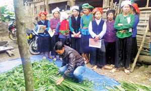 Những trí thức trẻ bản lĩnh, nhiệt huyết