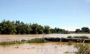 Một học sinh bị lũ cuốn trên đường đi học