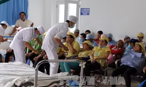 Tăng cường phòng chống ngộ độc thực phẩm trên địa bàn Hà Nội