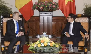 Thúc đẩy hợp tác Việt Nam-Romania