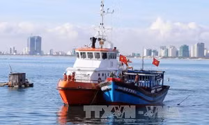 Bà Rịa-Vũng Tàu: Va chạm khiến sà lan và tàu container dính chặt nhau 