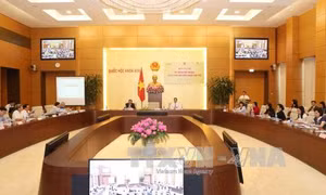 Nâng cao kỹ năng đối ngoại cho đại biểu Quốc hội trẻ