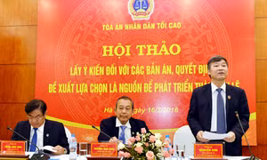 Án lệ khắc phục khiếm khuyết của pháp luật 