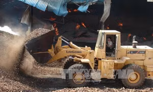 Cháy kho chứa nông sản ở Gia Lai 