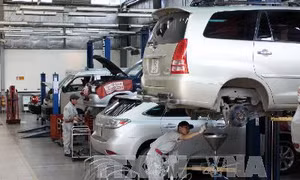 Toyota Việt Nam triệu hồi gần 800 xe Innova