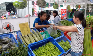 Công bố các cơ sở bán nông sản sạch