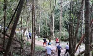 Phú Quốc phát triển du lịch sinh thái
