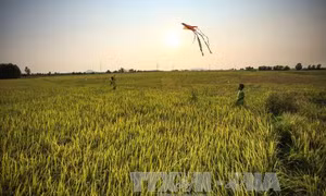 http://media.baotintuc.vn/2016/03/21/20/11/kien-giang.jpg