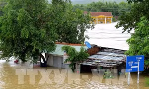 Chủ động thực hiện phương án phòng, tránh lũ