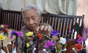 Gia đình làm thiên nga bông cuối cùng ở Hà Nội