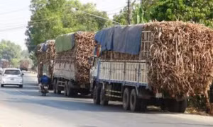 Tăng cường kiểm tra đột xuất xe quá tải vào ban đêm 