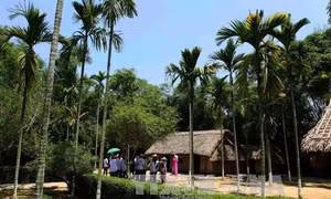 Những ngày tháng 5 về thăm quê Bác