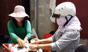 Tảo nở hoa làm cá chết hàng loạt ở biển Nghi Sơn
