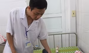 Sức khỏe cô, trò mầm non bị ong đốt đã ổn định