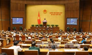 Không vì áp lực xã hội mà vội vã thông qua Luật về hội