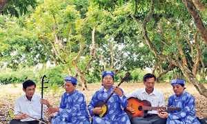 Sức sống đờn ca tài tử