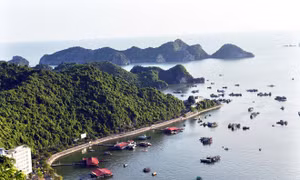 Mê mẩn với cảnh đẹp Cát Bà