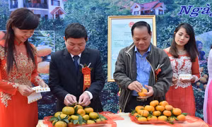 Công bố chứng nhận nhãn hiệu cam Văn Chấn 