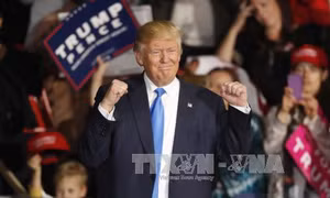 Các thị trường nháo nhào đề phòng ông Trump thắng cử