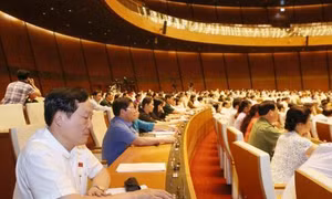 Cần có chuyên đề giám sát về ô nhiễm môi trường