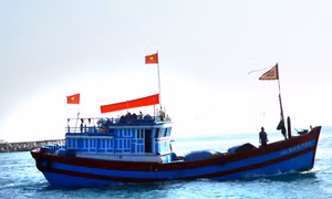 Palau bắt 2 tàu cá Việt Nam 