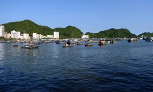 Xử lý phản ánh về chất lượng dịch vụ du lịch tại Hải Phòng