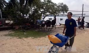 Tiêu chí xã đặc biệt khó khăn vùng ven biển và hải đảo 